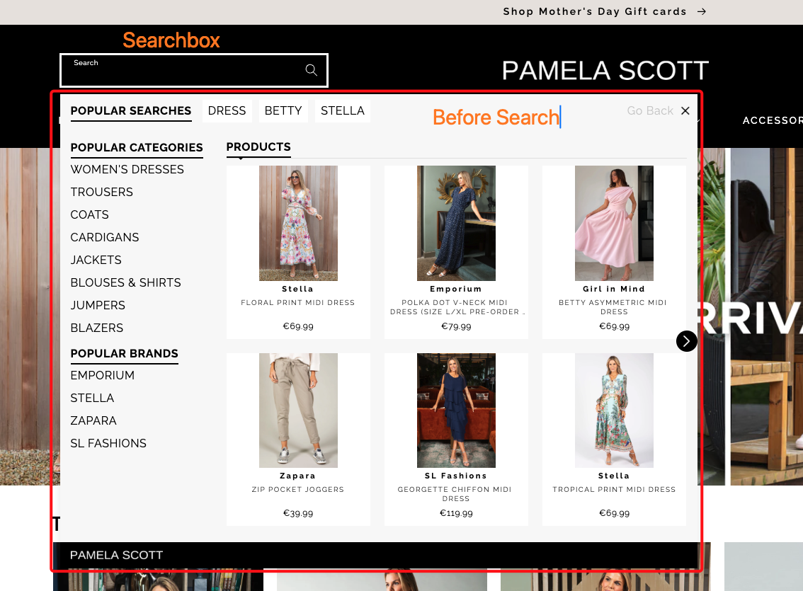Real world example of the searchbox before search
