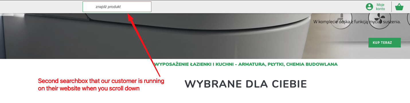 Real world example of a second search bar